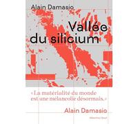 Vallée du silicium (Albertine)