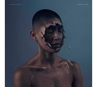 Valley Of Vision (Vinilo)