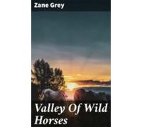 Valley Of Wild Horses (ebook)