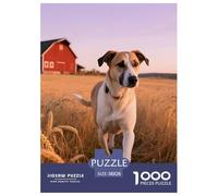 Vallhund Sueco Puzzle 1000 Piezas Perro Mascota - Arte DIY, Experiencia Calmante, Caja De Colección, 38x26cm/1000pcs