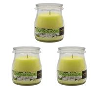 Valmoni Sport 3 X Velas Jazmín de Noche Perfumada en Vaso Yogur Cristal Olor Aroma Candle Vela Aromatic Lumar