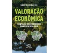 Valoração Econômica (ebook)