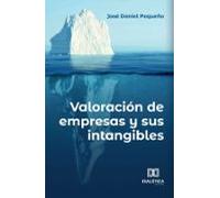 Valoración De Empresas Y Sus Intangibles (ebook)
