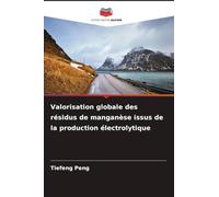 Valorisation globale des résidus de manganèse issus de la production électrolytique