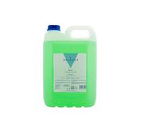 VALQUER Champú Clorofila | Limpieza Profunda y Suavidad para Todo Tipo de Cabello | Nutrición con Fórmula Vegana Sin Siliconas | Formato Profesional Garrafa 5L