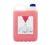 Valquer - Champú de Fresa, Champú Especial para Peluquería, 5000ML, Uso Profesional