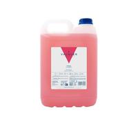 VALQUER Champú de Fresa | Fortalece y Protege el Cabello | Limpieza Profunda y Suavidad para Todo Tipo de Pelo | Fórmula Vegana Sin Siliconas | Formato Profesional Garrafa 5L
