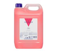 VALQUER Champú de Fresa | Formato Profesional Garrafa 5L | Fortalece y Protege el Cabello | Limpieza Profunda y Suavidad para Todo Tipo de Pelo | Fórmula Vegana Sin Siliconas