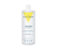 Valquer Champú de Jengibre Anticaspa y Estimulante del Crecimiento Capilar. Antioxidante, Reparador y Antibacteriano Con Pantenol y Vitamina E. Uso Frecuente para Todo Tipo de Cabello. Vegano. 1 L