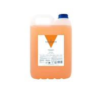 VALQUER Champú de Mandarina | Formato Profesional Garrafa 5L | Fortalece y Protege el Cabello | Limpieza Profunda y Suavidad para Todo Tipo de Pelo | Fórmula Vegana