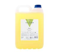 VALQUER Champú de Manzana | Fortalece y Protege el Cabello | Limpieza Profunda y Suavidad para Todo Tipo de Pelo | Fórmula Vegana Sin Siliconas | Formato Profesional Garrafa 5L