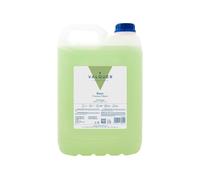VALQUER Champú de Melón | Fortalece y Protege el Cabello | Limpieza Profunda y Suavidad para Todo Tipo de Pelo | Fórmula Vegana | Formato Profesional Garrafa 5L