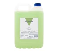 VALQUER Champú de Melón | Fortalece y Protege el Cabello | Limpieza Profunda y Suavidad para Todo Tipo de Pelo | Fórmula Vegana | Formato Profesional Garrafa 5L