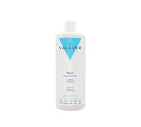 VALQUER Champú Equilibrante Regulador | 1 L | Limpieza e Hidratación con Aloe Vera | Sin Siliconas ni Colorantes | Para Todo Tipo de Cabello | Vegano
