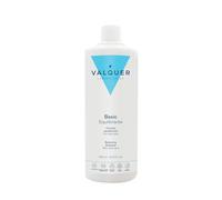 VALQUER Champú Equilibrante Regulador | Limpieza e Hidratación con Aloe Vera Ecológico | Sin Siliconas ni Colorantes | Para Todo Tipo de Cabello | Vegano | 1 L