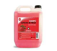 Válquer Champú Especial de Fresa - 5 l.