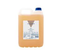 VALQUER Champú Revitalizante pH Neutro | 5 L | Fortalece, Hidrata, Repara y Aporta Brillo al Cabello Dañado | Ingredientes Naturales y Vitamina B5 para Todo Tipo de Pelo
