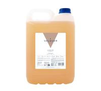 VALQUER Champú Revitalizante pH Neutro | Fortalece, Hidrata, Repara y Aporta Brillo al Cabello Dañado | Con Ingredientes Naturales y Vitamina B5 para Todo Tipo de Pelo | 5 L