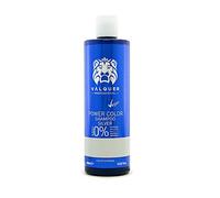 VALQUER Power Color Plata Champú Potenciador de Color | Para Cabello Teñido o Natural | Coloración Temporal con Ingredientes Naturales | Sin Sulfatos | Vegano | 400 ml