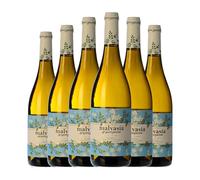 Valsangiacomo Valsan 1831 Malvasía de SanJaume Valencia 75 cl Vino blanco (Caja de 6 Botellas de 75 cl)