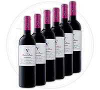 Valtravieso Caja Vino Tinto Ribera del Duero - Finca Santa Maria Roble Denominación de Origen/Tinto Fino (98%), Cabernet Sauvignon & Merlot (2%)| Pack Lote Regalo de 6 Botellasx750ml