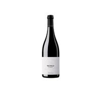 Valtuille de Abajo Vino de Villa 2022