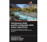 Valutazione della qualità ambientale delle acque superficiali: Utilizzo dei GIS, degli indici di qualità e dell'intelligenza artificiale nelle acque del fiume Moulouya