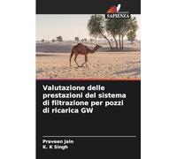 Valutazione delle prestazioni del sistema di filtrazione per pozzi di ricarica GW