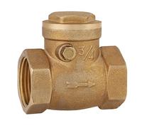 Válvula de retención, DN20 232PSI 3/4 Válvula de retención de agua hembra de latón Válvula de rosca Válvula de una vía Sin retorno para evitar el reflujo de agua