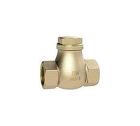 Válvula antirretorno Riegler RK212RG, DN 50, latón, G 2, PN máx. 10 bares.