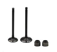 Válvula de Admisión & Escape del Motor con Sello de Aceite para XG250 /XT200 /XT225 /XT250 /YFB250 /YFM200 /YFM225 /YFM250 /YFM25R /YFU1 /PRO-4