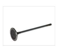Válvula de admisión FRECCIA R6051/SCR