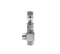 Válvula de aguja dosificadora micro tipo ángulo G 1/8"" 1/4"" NPT 3/8"" 1/2"" 304 SS WL94H-320P reguladora control flujo variable 32 MPA(G thread,1/4 inch)