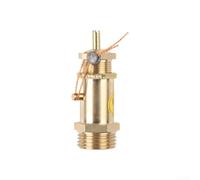 Válvula de alivio de seguridad de latón para compresores de aire, regulador de presión de 120 PSI para máquinas de espuma (8 kg)