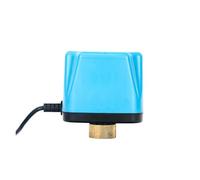 Válvula de bola eléctrica Válvula de bola motorizada de 1/2“ 3/4” 1“ 2 pulgadas Motor de válvula eléctrica Dos líneas DC24V DC12V(1/2",220VAC_NORMALLY CLOSED)