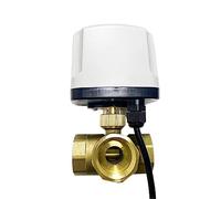 Válvula de bola motorizada IP65 1 pulgada y 3 vías, 220V, 12V, 24V, cables, 2 controles, tipo T/L, válvula eléctrica latón, Uds(T TYPE-24VDC)