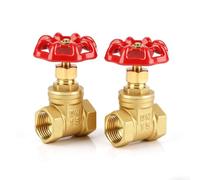 Válvula de compuerta 2PCS Dn15, válvula de compuerta de latón G1/2 232psi