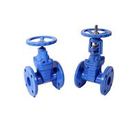 Válvula de compuerta de asiento resistente con vástago ascendente Manual DN80 de 3 pulgadas, cuerpo DI de medios de agua con volante 2CR13