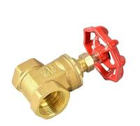 Válvula de compuerta de latón, válvula de cierre Manual de hilo femenino BSP de 1/8 "-1-1/4", 1 unidad(DN32)