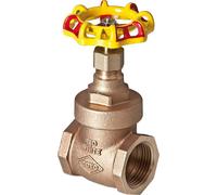 Válvula de compuerta de manguito HS rojo-amarillo de fundición roja 1`` sin