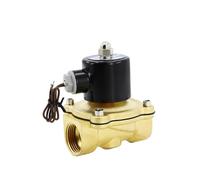 Válvula de conmutación neumática solenoide electrónica normalmente cerrada control electrónico 12 V Bobina 24 220(2W040-10,DC24V)