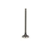 FRECCIA R6558/RNT Válvula de escape