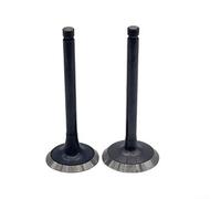 Válvula de escape para motores de cortacésped - Válvula de escape de metal para motor pequeño compatible con modelos EX17 y EX21, x 10 x cm, juego de 2 piezas de repuesto