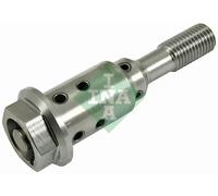 Válvula de fases variables del árbol de levas 427 0038 10 INA para FORD ECOSPORT
