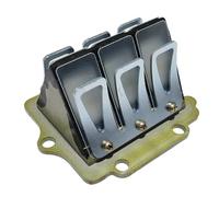 Válvula de Láminas Válvula de láminas de dos tiempos, conjunto de membrana de láminas, accesorios de admisión para motocicleta ZX150, compatible con Kawasaki KR150