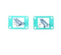 válvula de lengüeta tubo lengüeta carburador Válvula De Láminas De Fibra De Carbono Apta Para Placa De Admisión De Carburador De Motocicleta KT XC65 SX65 SX50(Gasket kit)