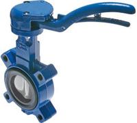 Válvula de mariposa DN50 (2 pulgadas) PN6 Lug GGG40-Acero inoxidable-FKM