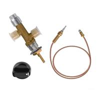 Válvula de repuesto para calentador de chimenea con terminal de entrada de termopar y puerto de salida del interruptor de descarga