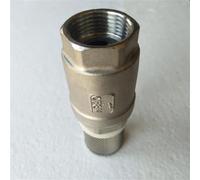 Válvula de retención con filtro Válvula de fondo Válvula de pie de acero inoxidable Filtro Válvulas de pie roscadas Desmontable DN15/20/25/32/40/50(DN25)