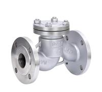Válvula de retención de elevación con brida de acero inoxidable de 2" DN50